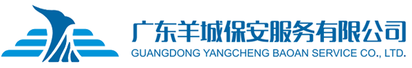成都旭东国际人才交流有限公司